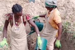 481817090_10236135733399666_355324313311015862_n