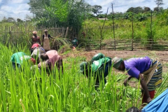 560073954_10239295500711874_7690615976778151110_n