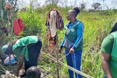 561838373_10239295498751825_8028396583706449383_n