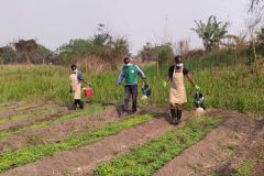 583322036_1278184811019247_3457301972846312048_n